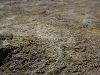 0000_texturen_4