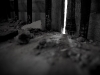 0002_s21_1